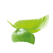 schwebende Basilikumblätter