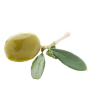 schwebende Olive
