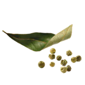 fliegendes Lorbeerblatt und grüner Pfeffer