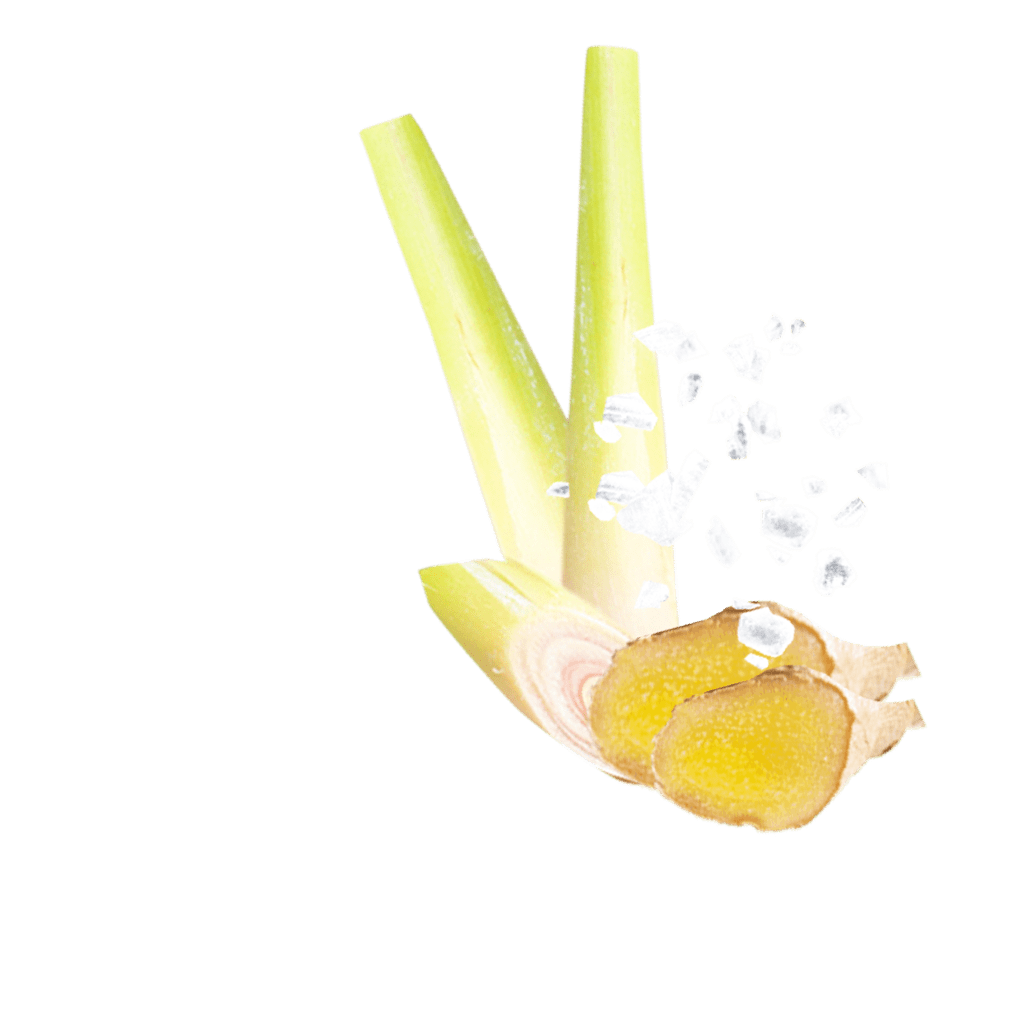 Meersalz Ingwer Zitrone Inhalt Edit